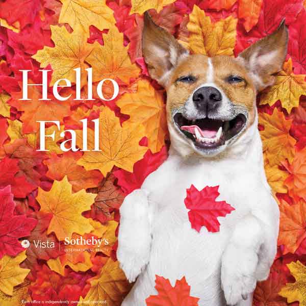Welcome Autumn and Fall graphic